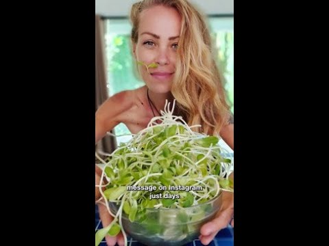 Popular vegan influencer dies of &#039;starvation&#039;