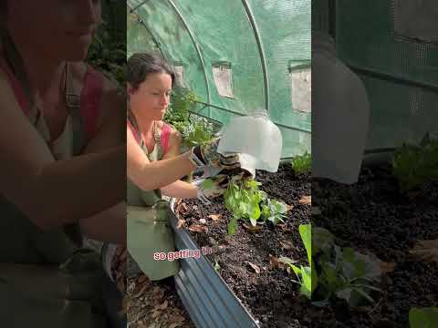 Embracing the Chill: A Guide to Winter Gardening