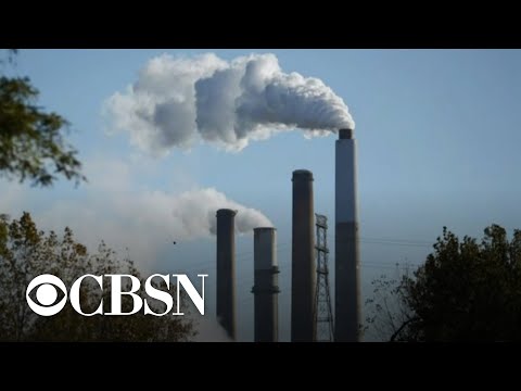 Global carbon emissions on the rise after dropping during the pandemic