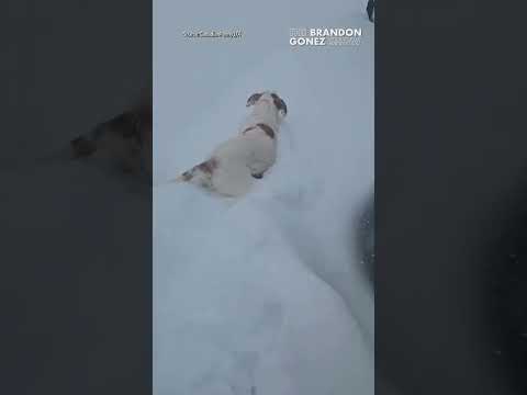 Major snowstorm slammed Southern Ontario