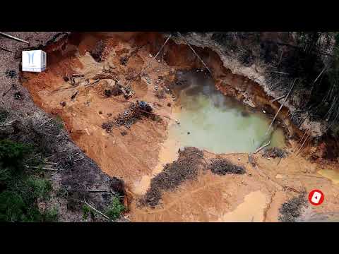 Illegal Mining Threatens Amazon &amp; Exposes Indigenous Peoples to COVID19