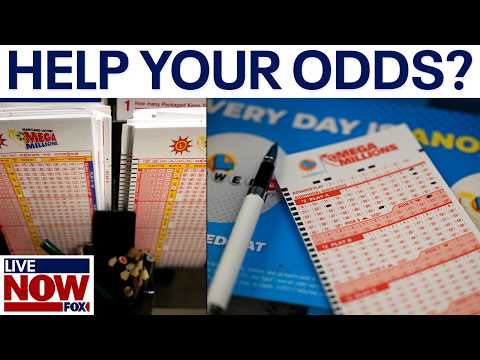 How to increase your Mega Millions jackpot odds | LiveNOW from FOX